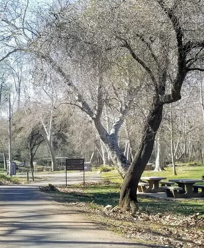 Friendship Park - Browns Valley, CA