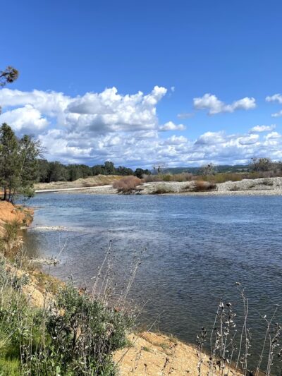 Hammon Grove Park - Browns Valley, CA