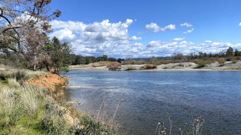 Hammon Grove Park - Browns Valley, CA