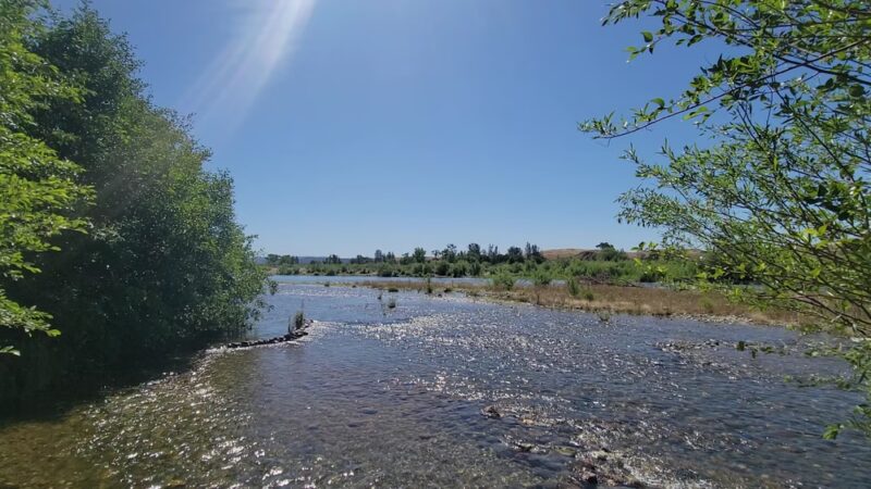 Hammon Grove Park - Browns Valley, CA