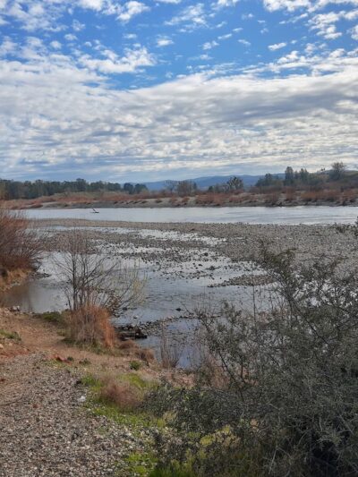Hammon Grove Park - Browns Valley, CA