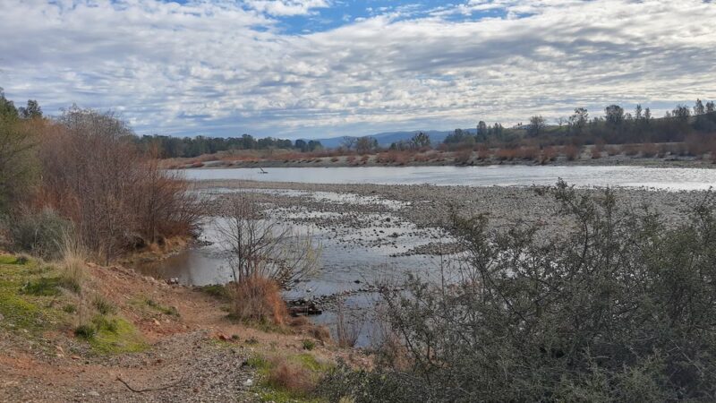 Hammon Grove Park - Browns Valley, CA