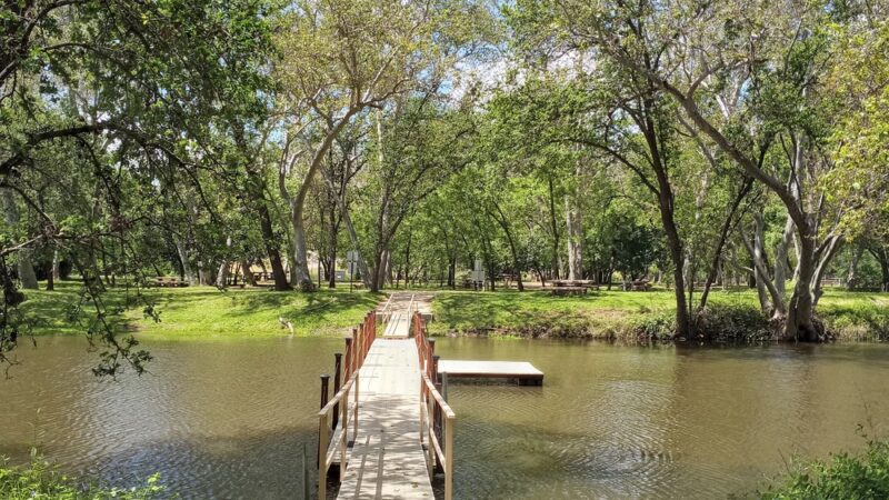 Hammon Grove Park - Browns Valley, CA