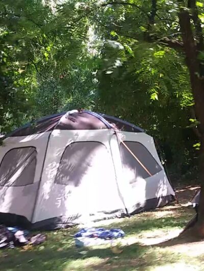 Sycamore Ranch - Browns Valley, CA