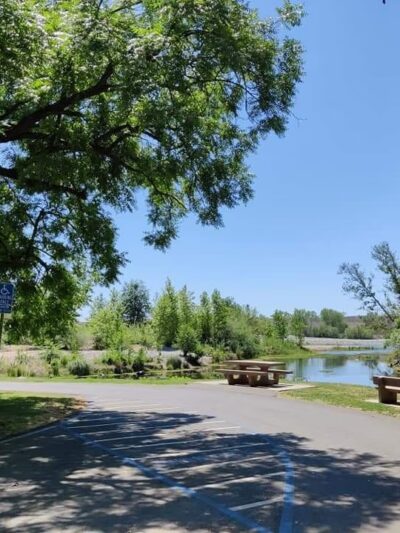 Sycamore Ranch - Browns Valley, CA