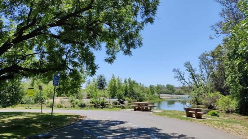 Sycamore Ranch - Browns Valley, CA