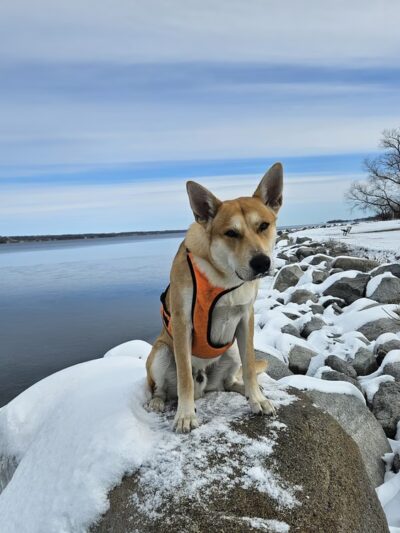 Traverse County Park - Browns Valley, MN