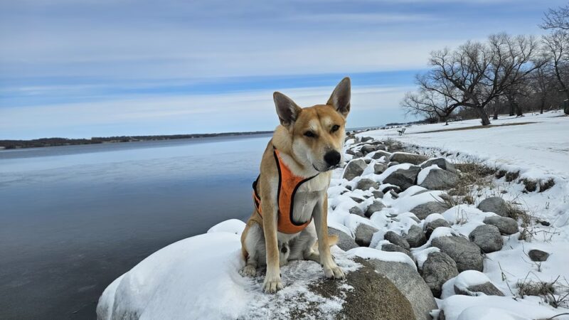 Traverse County Park - Browns Valley, MN
