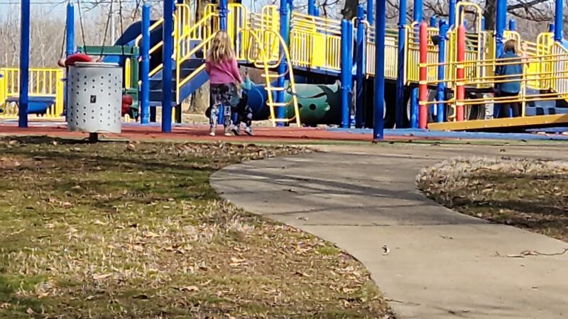 Volunteer Park - Brownsville, TN