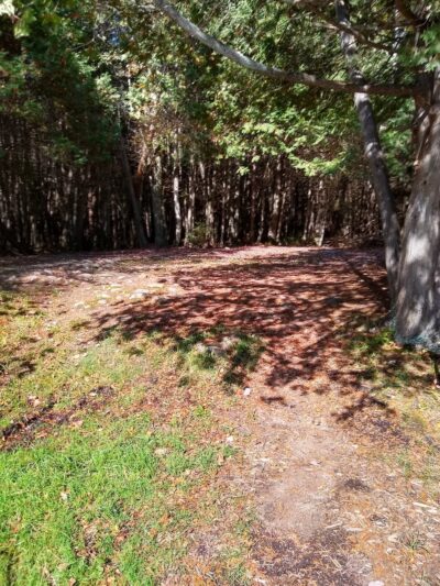 Gartzke Recreation Area - Bryant, WI