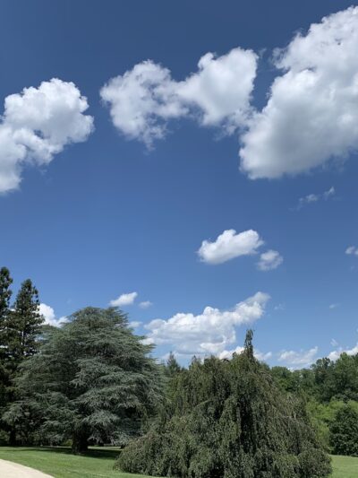 Ashbridge Park - Bryn Mawr, PA