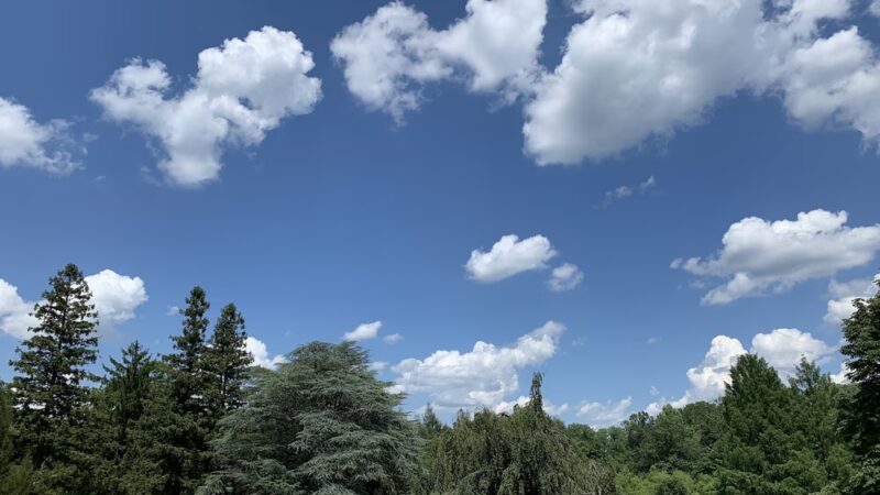 Ashbridge Park - Bryn Mawr, PA