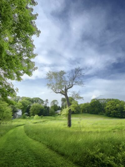 Idlewild Farm Preserve - Bryn Mawr, PA