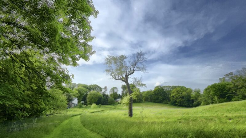 Idlewild Farm Preserve - Bryn Mawr, PA
