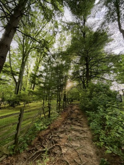 Idlewild Farm Preserve - Bryn Mawr, PA