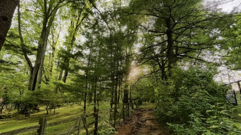 Idlewild Farm Preserve - Bryn Mawr, PA