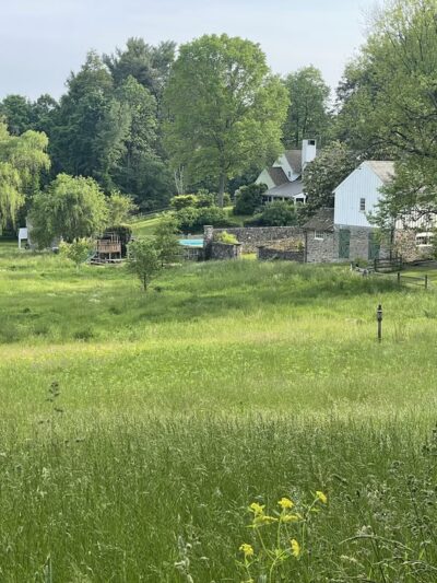 Idlewild Farm Preserve - Bryn Mawr, PA