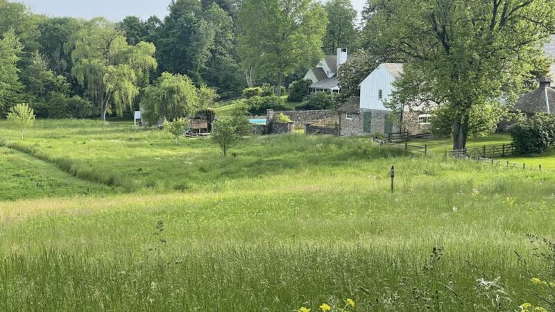 Idlewild Farm Preserve - Bryn Mawr, PA