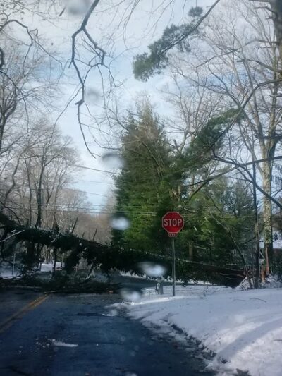 Idlewild Farm Preserve - Bryn Mawr, PA