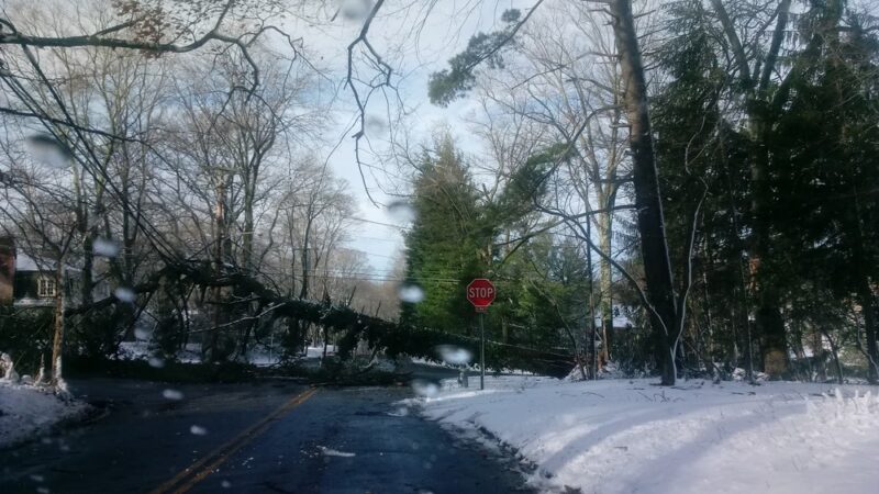 Idlewild Farm Preserve - Bryn Mawr, PA