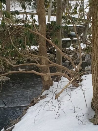 Ithan Valley Park - Bryn Mawr, PA