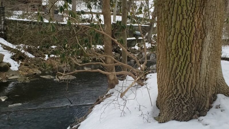 Ithan Valley Park - Bryn Mawr, PA