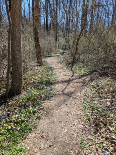 Ithan Valley Park - Bryn Mawr, PA