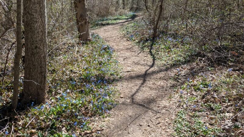 Ithan Valley Park - Bryn Mawr, PA