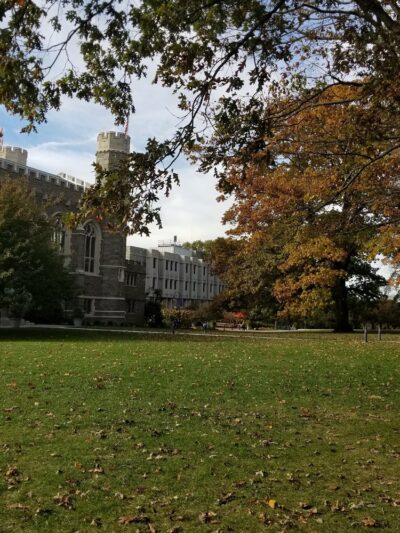 Polo Field - Bryn Mawr, PA