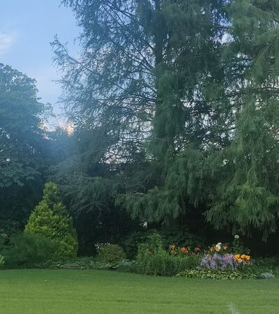 The Bryn Mawr Gazebo - Bryn Mawr, PA