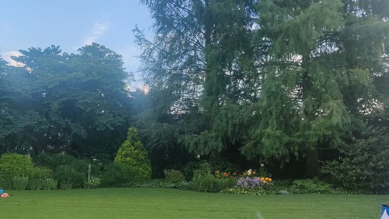 The Bryn Mawr Gazebo - Bryn Mawr, PA