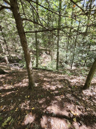 Bear Creek Preserve Trails - Buck Township, PA