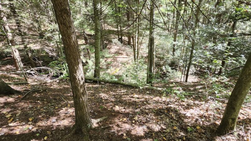 Bear Creek Preserve Trails - Buck Township, PA