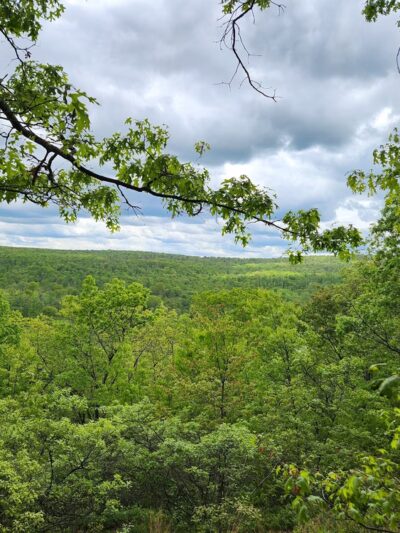 Bear Creek Preserve Trails - Buck Township, PA