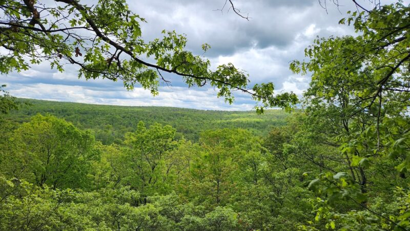 Bear Creek Preserve Trails - Buck Township, PA