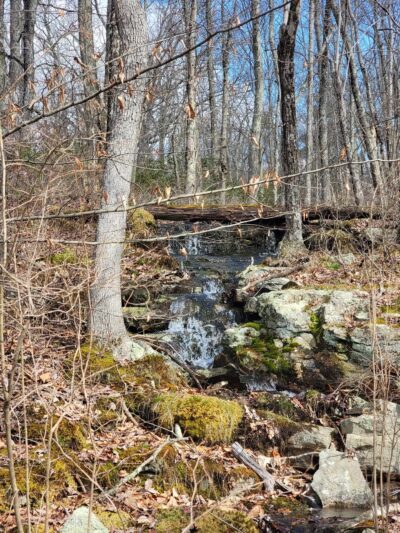 Bear Creek Preserve Trails - Buck Township, PA