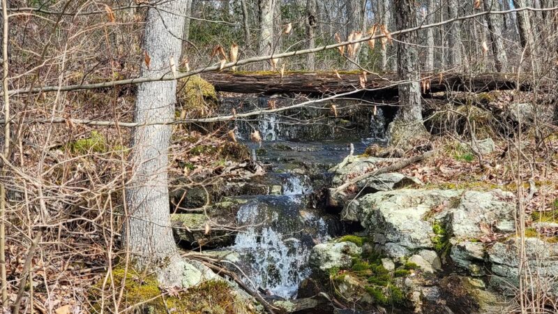 Bear Creek Preserve Trails - Buck Township, PA