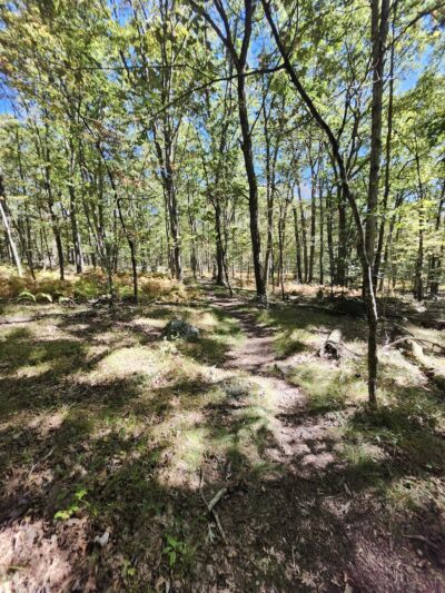 Bear Creek Preserve Trails - Buck Township, PA