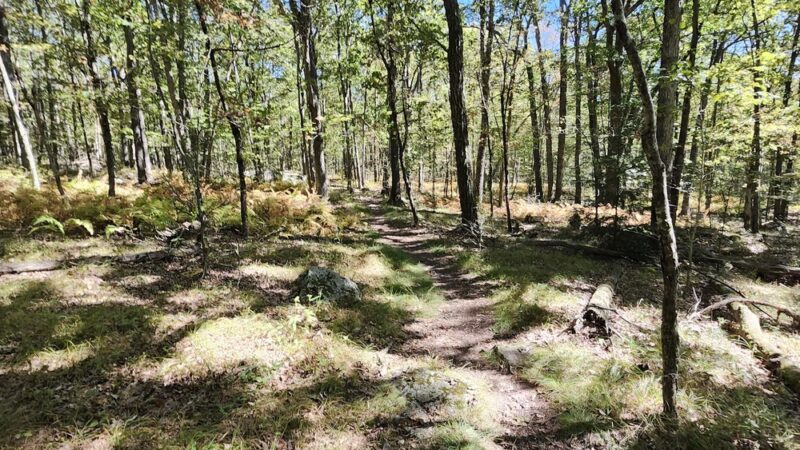 Bear Creek Preserve Trails - Buck Township, PA