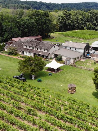 Buckingham Valley Vineyards - Buckingham, PA