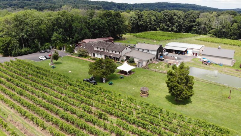Buckingham Valley Vineyards - Buckingham, PA