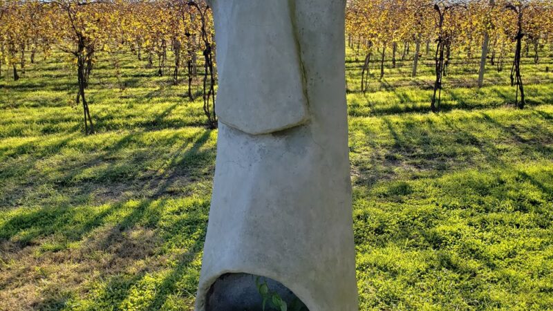 Buckingham Valley Vineyards - Buckingham, PA