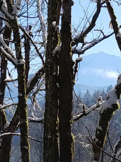 Foothills Trail - Buckley, WA