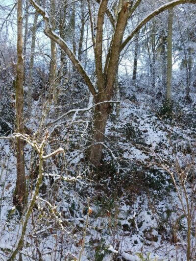 Foothills Trail - Buckley, WA