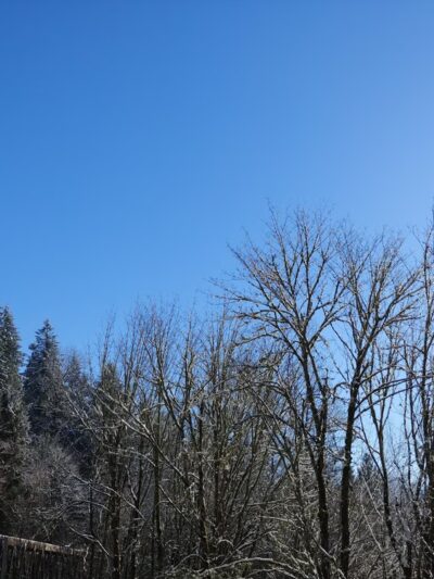 Foothills Trail - Buckley, WA