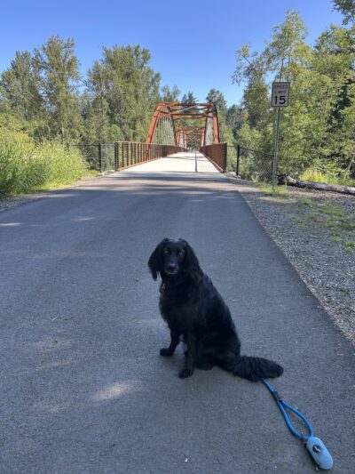 Foothills Trail (Buckley) - Buckley, WA