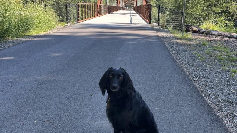 Foothills Trail (Buckley) - Buckley, WA