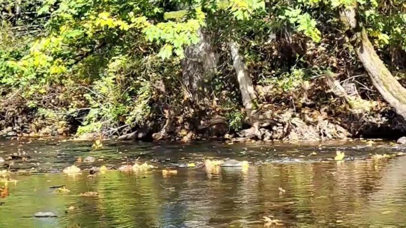 Veteran's Park - Buckley, WA