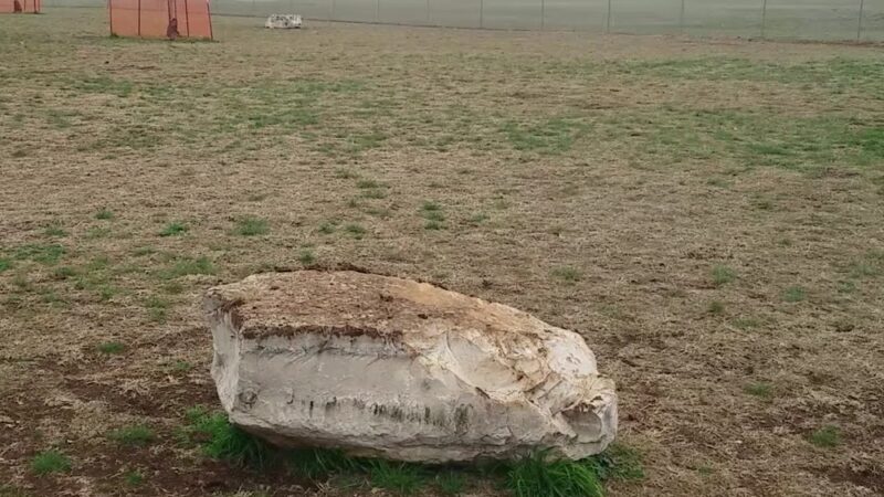 Buda Dog Park - Buda, TX