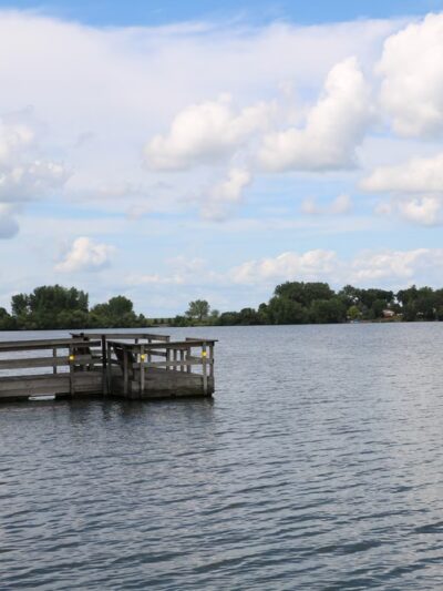 Lake Allie County Park - Buffalo Lake, MN
